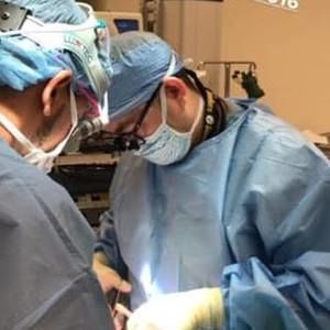 Meet your Posher, Peter